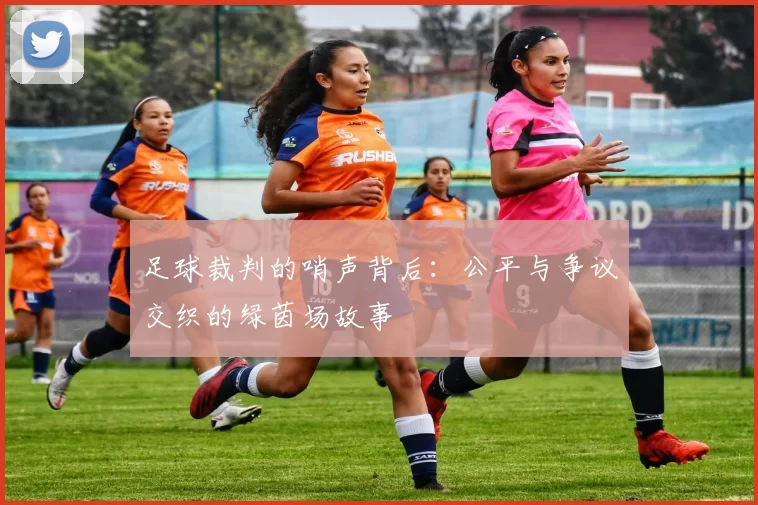 足球裁判的哨声背后：公平与争议交织的绿茵场故事