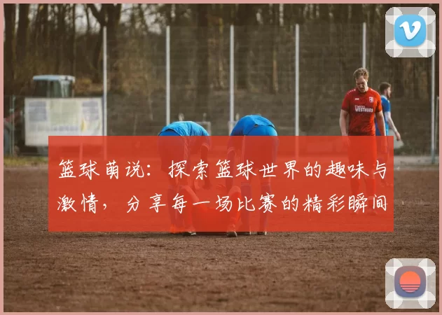 篮球萌说：探索篮球世界的趣味与激情，分享每一场比赛的精彩瞬间与感动故事